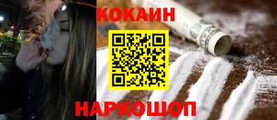 шишки Новодвинск