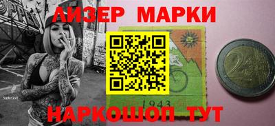 шишки Новодвинск