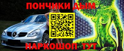 шишки Новодвинск