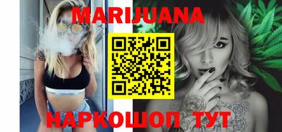 шишки Новодвинск