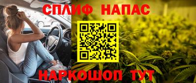 шишки Новодвинск