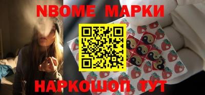 шишки Новодвинск