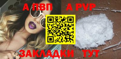 шишки Новодвинск