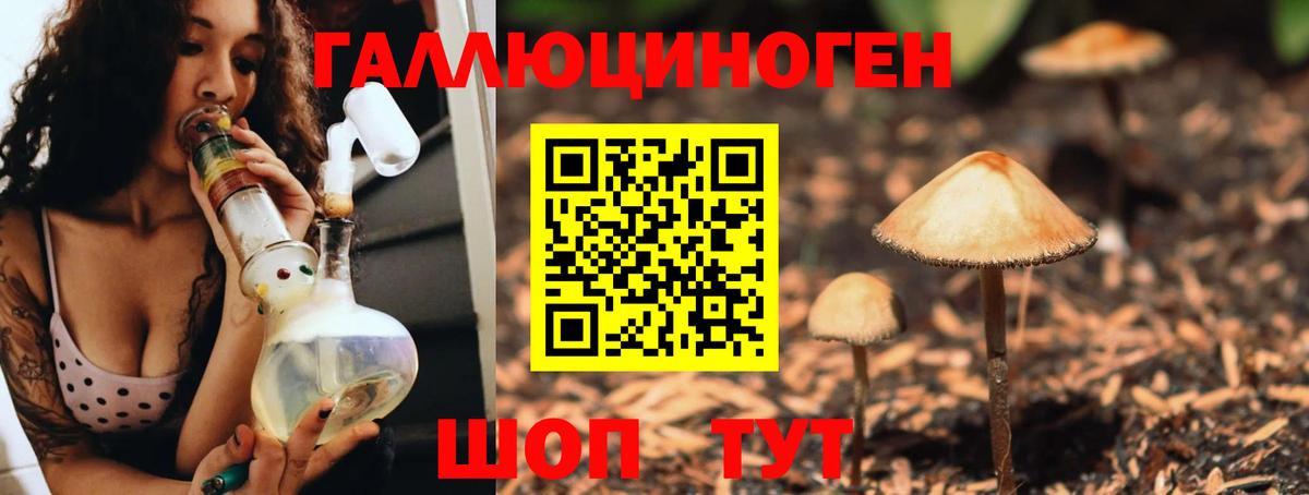 Галлюциногенные грибы Psilocybe  Псилоцибиновые грибы Psilocybine cubensis  купить   Ульяновск  Вход с VPN 
